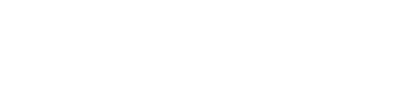 Sea Change Leadership Coaching and HR Consulting